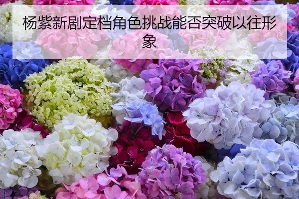杨紫新剧定档角色挑战能否突破以往形象
